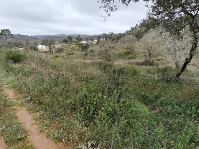 Terreno para Venda em Boavista dos Pinheiros Foto 4