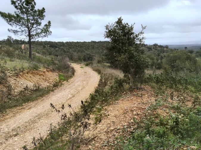 Terreno para Venda em Boavista dos Pinheiros Foto 5