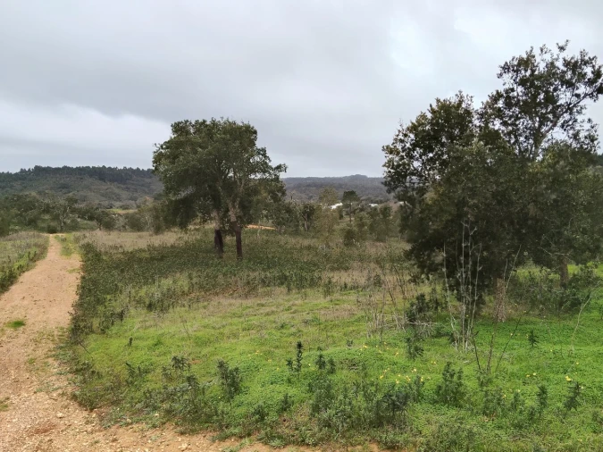 Terreno para Venda em Boavista dos Pinheiros Foto 7