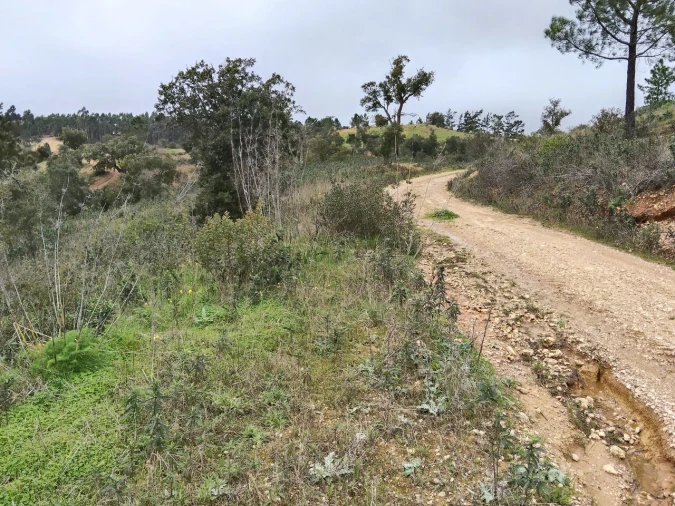 Terreno para Venda em Boavista dos Pinheiros Foto 8