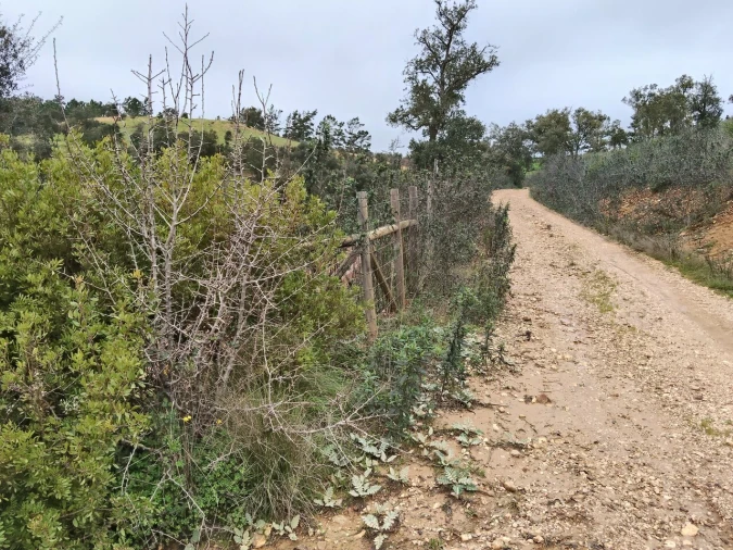 Terreno para Venda em Boavista dos Pinheiros Foto 10