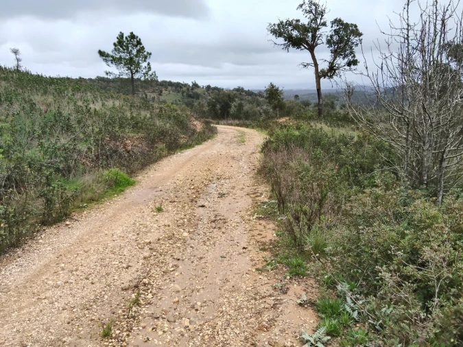 Terreno para Venda em Boavista dos Pinheiros Foto 16
