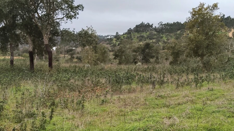 Terreno para Venda em Boavista dos Pinheiros