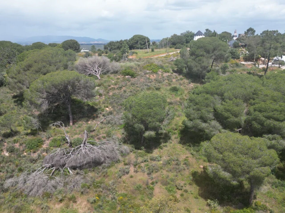 Terreno para Venda em Porches Foto 11