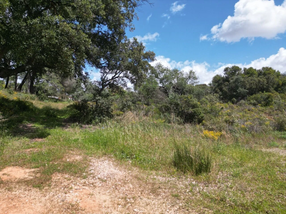 Terreno para Venda em Porches Foto 6