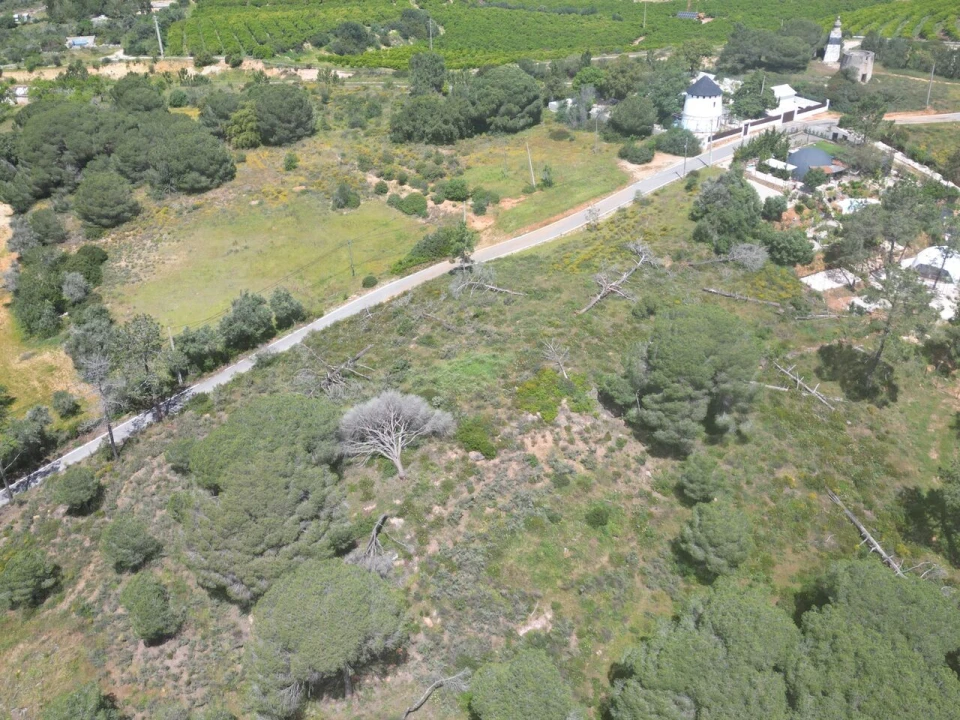Terreno para Venda em Porches Foto 5