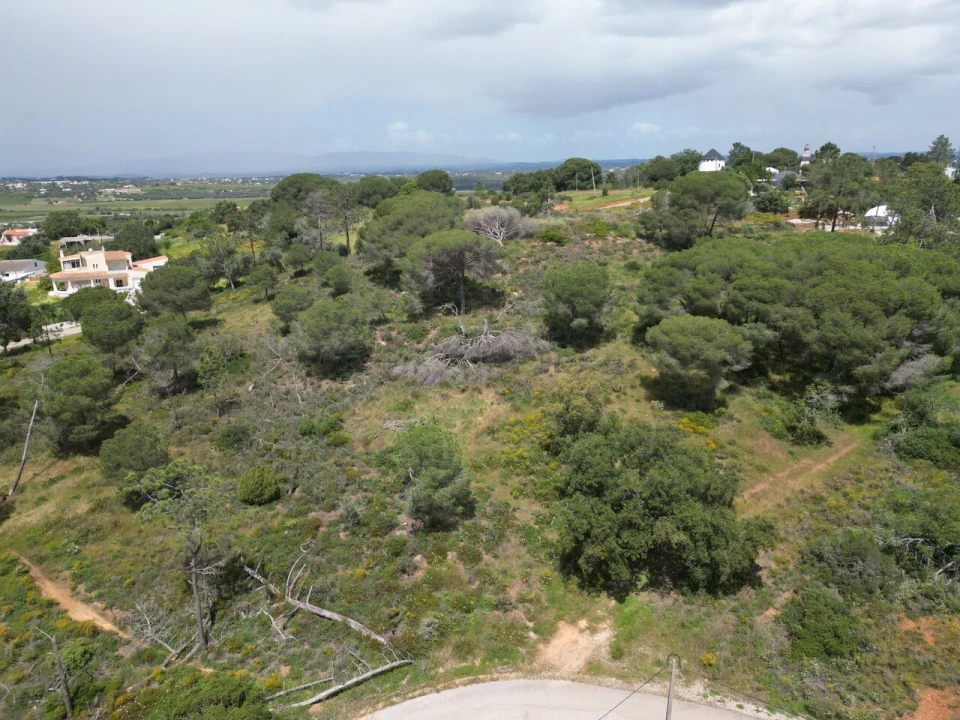 Terreno para Venda em Porches Foto 15