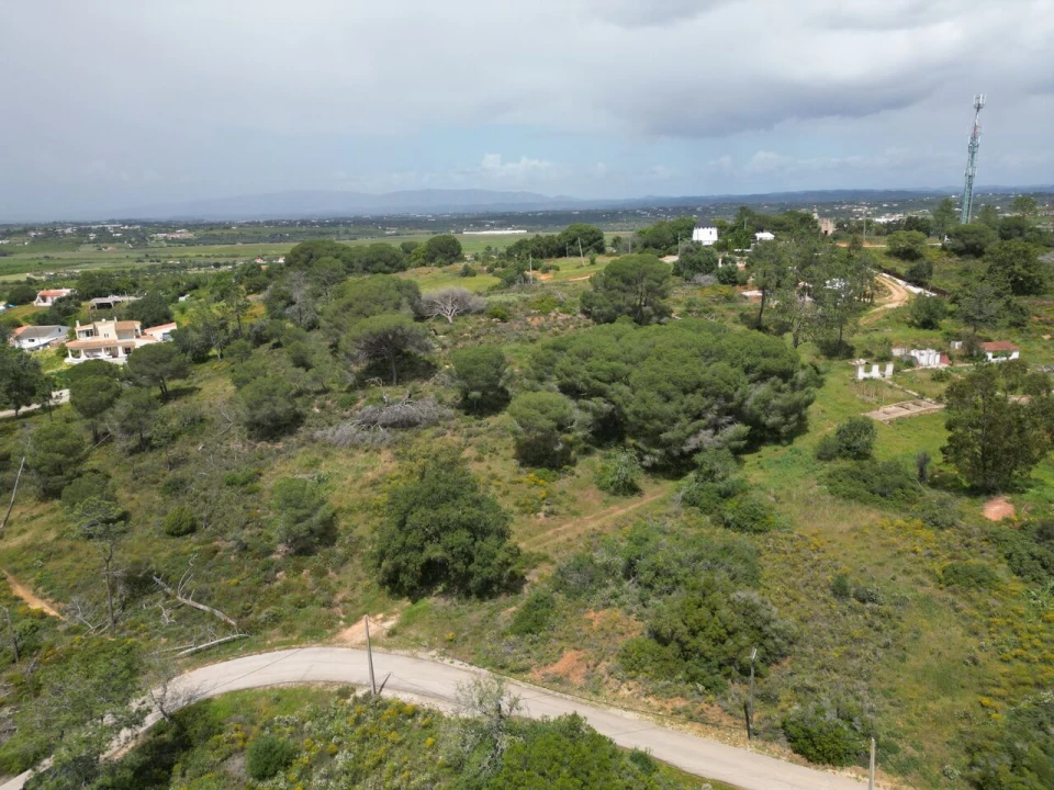 Terreno para Venda em Porches Foto 17