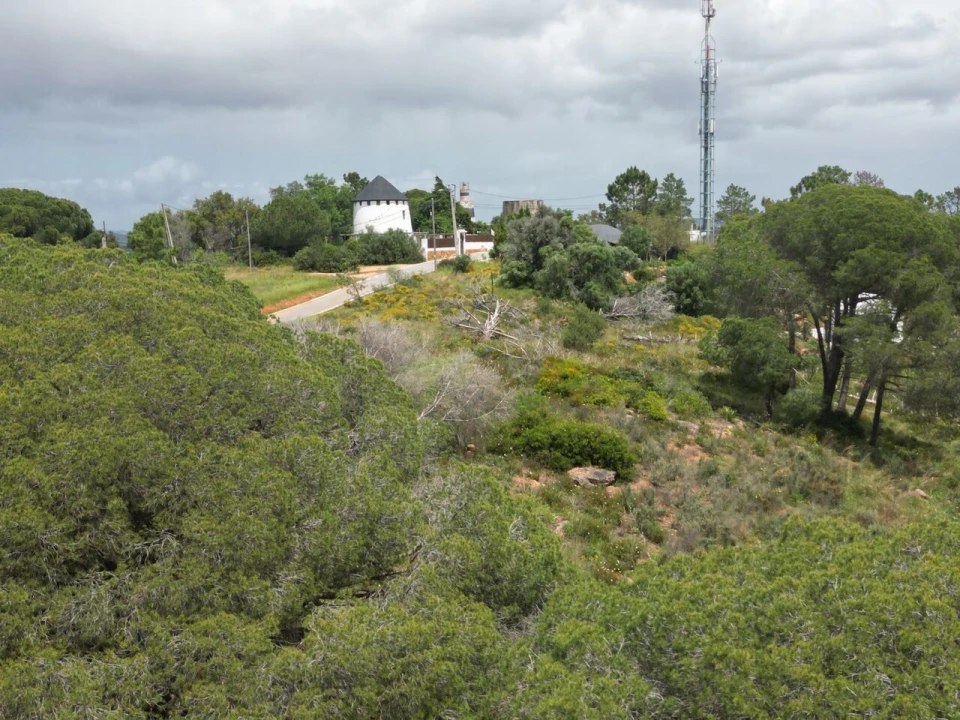 Terreno para Venda em Porches Foto 27