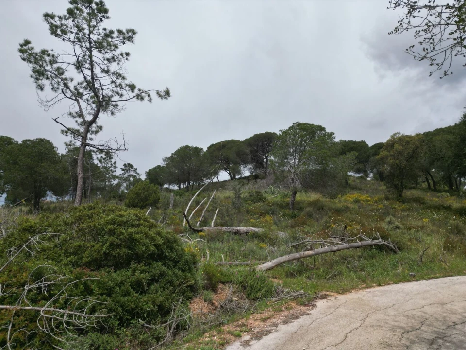 Terreno para Venda em Porches Foto 28