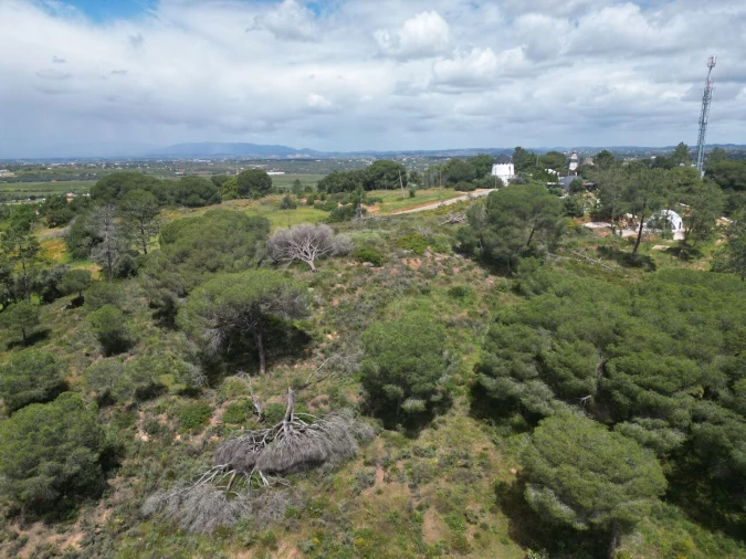 Terreno para Venda em Porches Foto 12