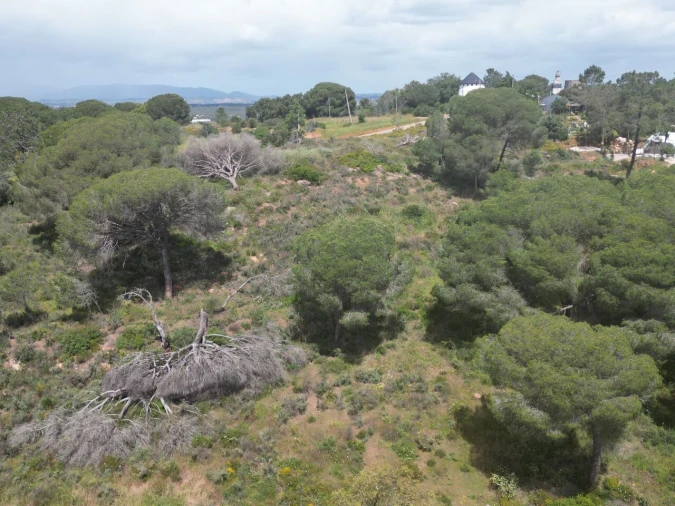 Terreno para Venda em Porches Foto 11