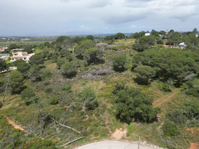 Terreno para Venda em Porches Foto 15