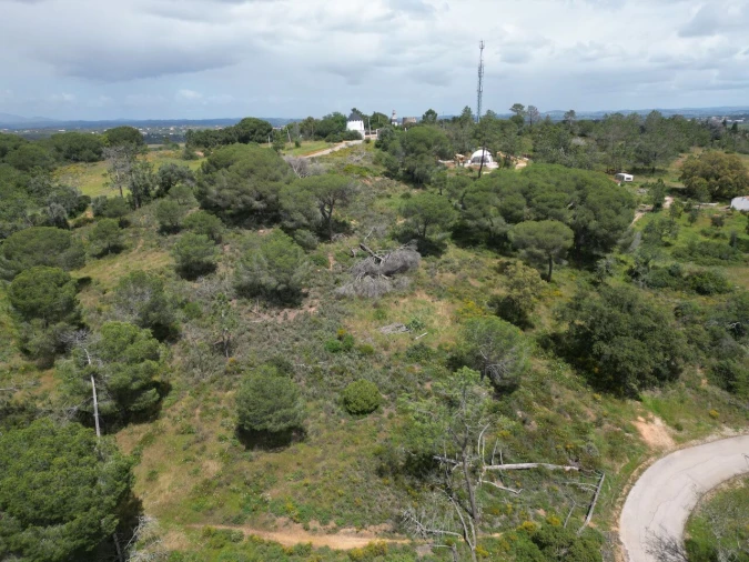 Terreno para Venda em Porches Foto 16