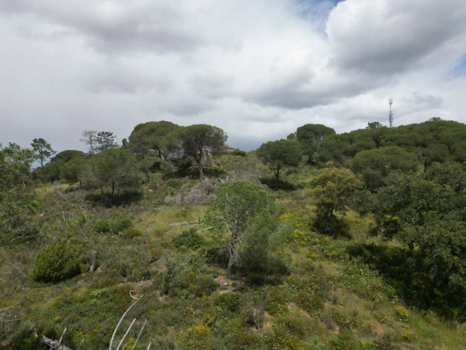 Terreno para Venda em Porches Foto 8