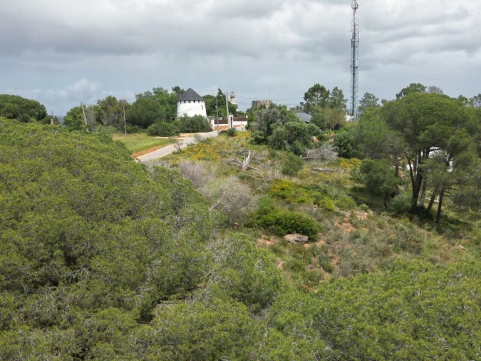 Terreno para Venda em Porches Foto 27