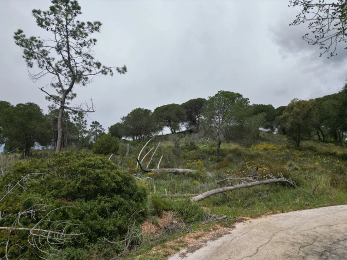 Terreno para Venda em Porches Foto 28