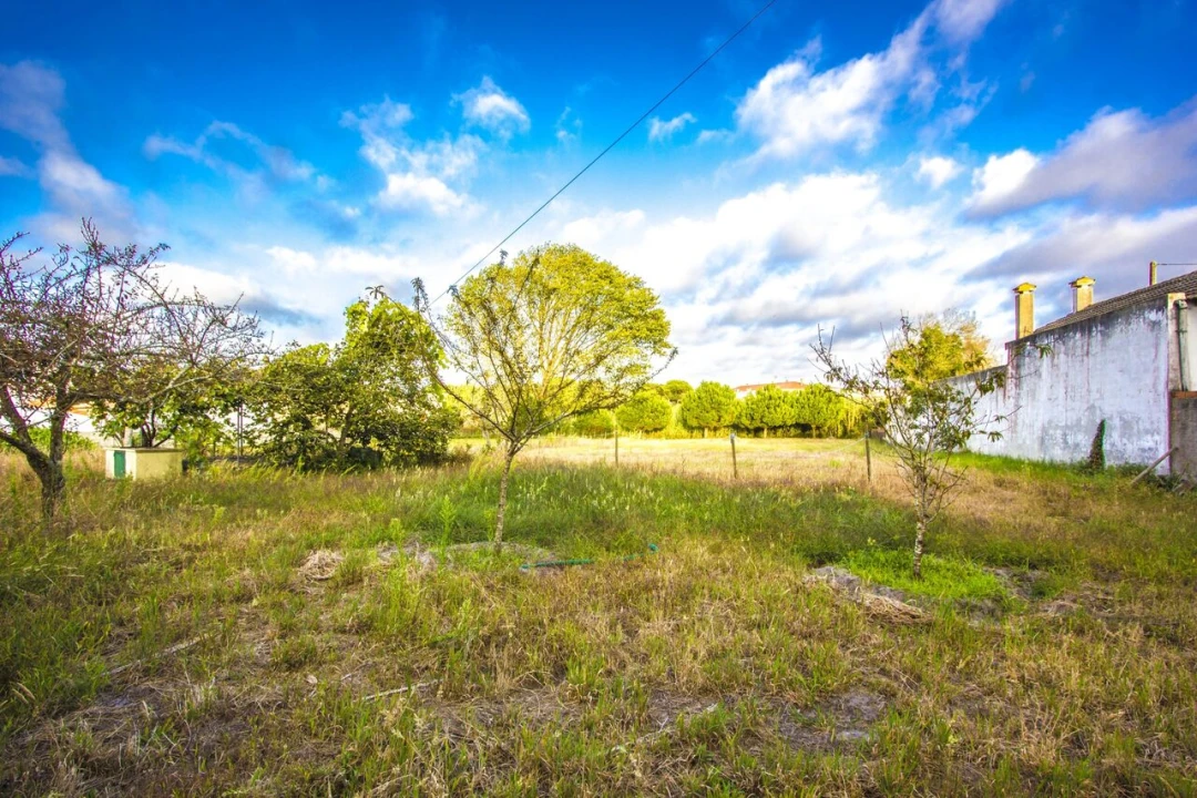 Quinta T5 para Venda em Marinha Grande Foto 12