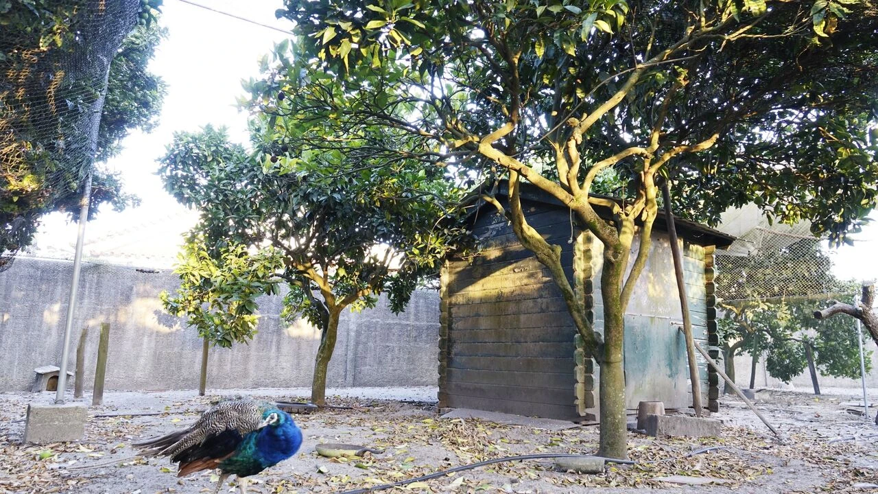 Quinta T5 para Venda em Marinha Grande Foto 10