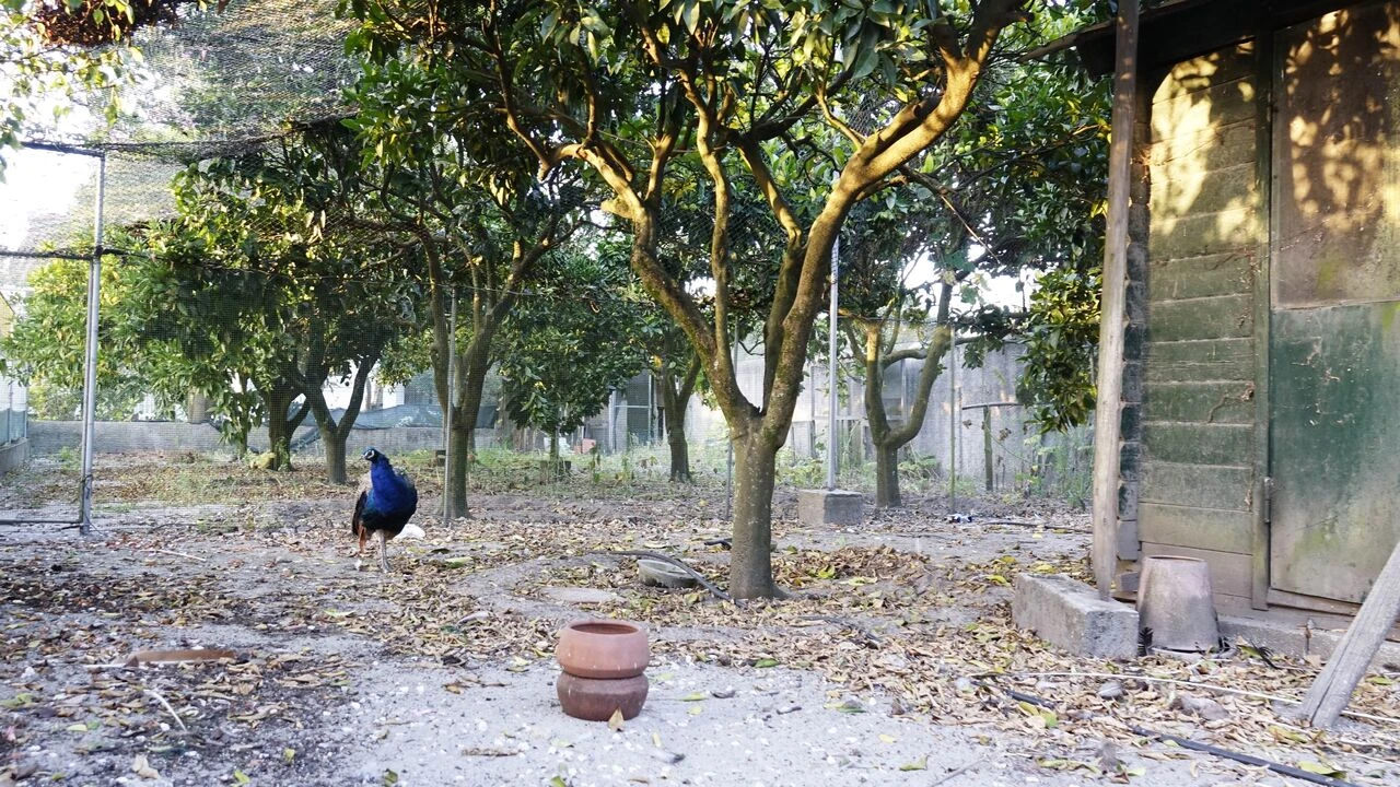 Quinta T5 para Venda em Marinha Grande Foto 11