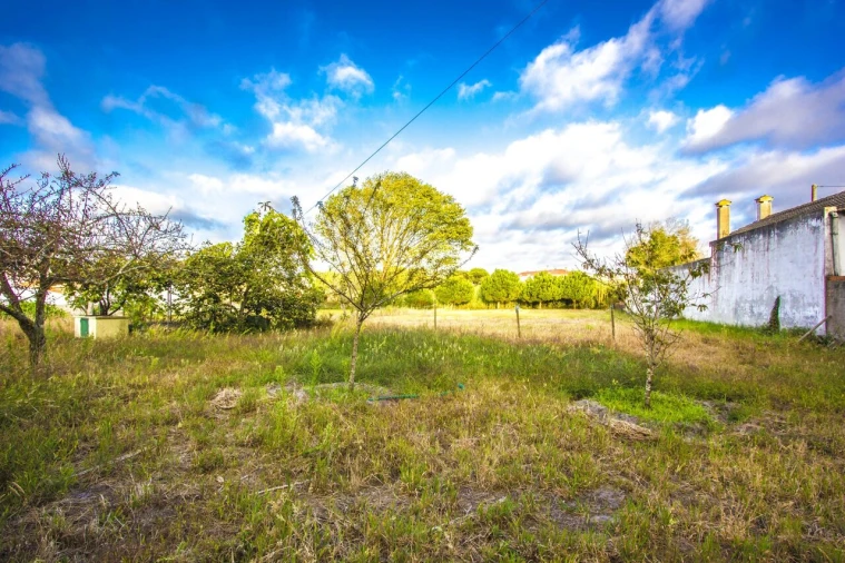 Quinta T5 para Venda em Marinha Grande Foto 12
