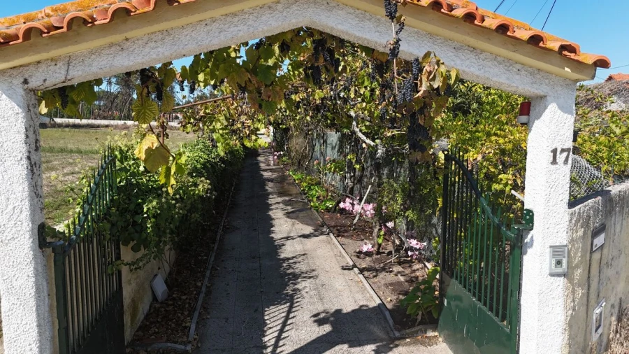 Quinta T5 para Venda em Marinha Grande Foto 14