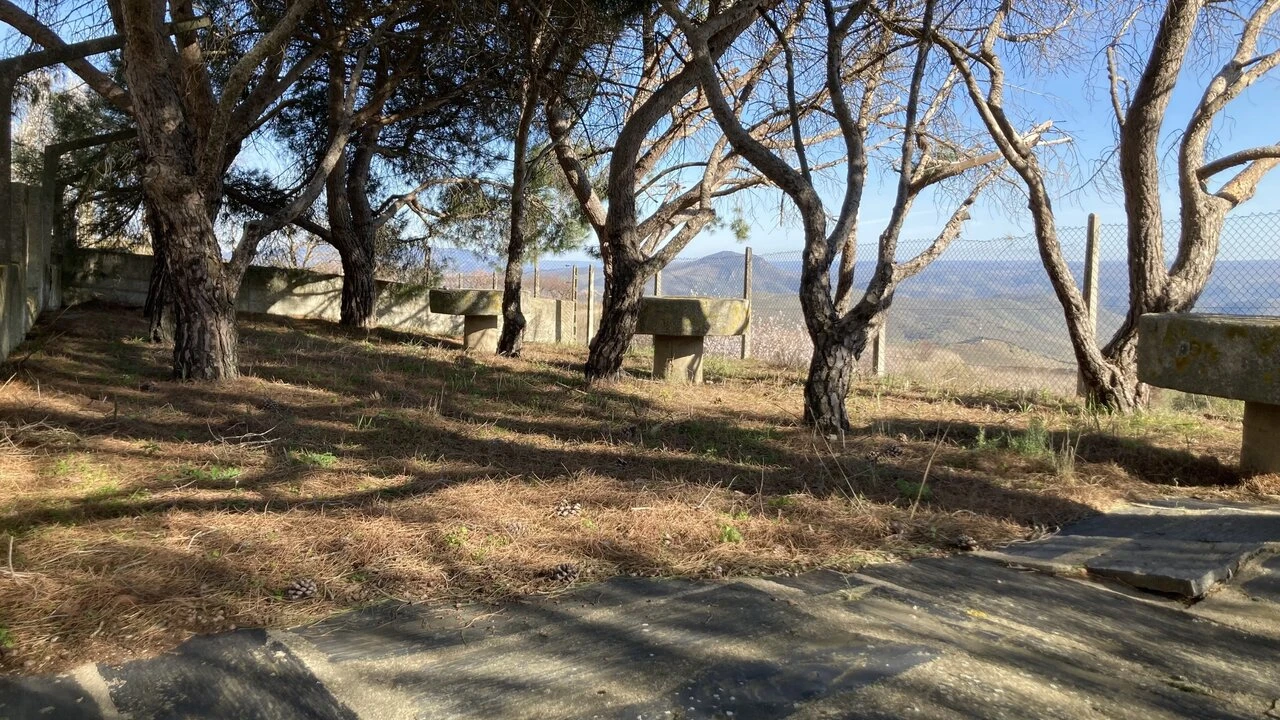 Quinta T15 para Venda em Vila Nova de Foz Côa Foto 7