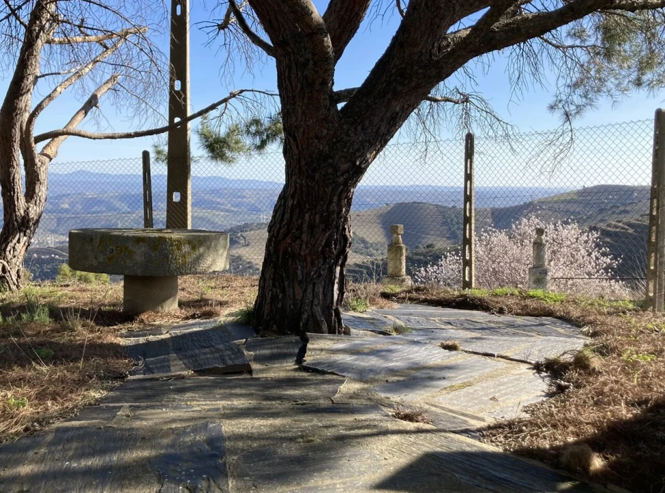 Quinta T15 para Venda em Vila Nova de Foz Côa Foto 6