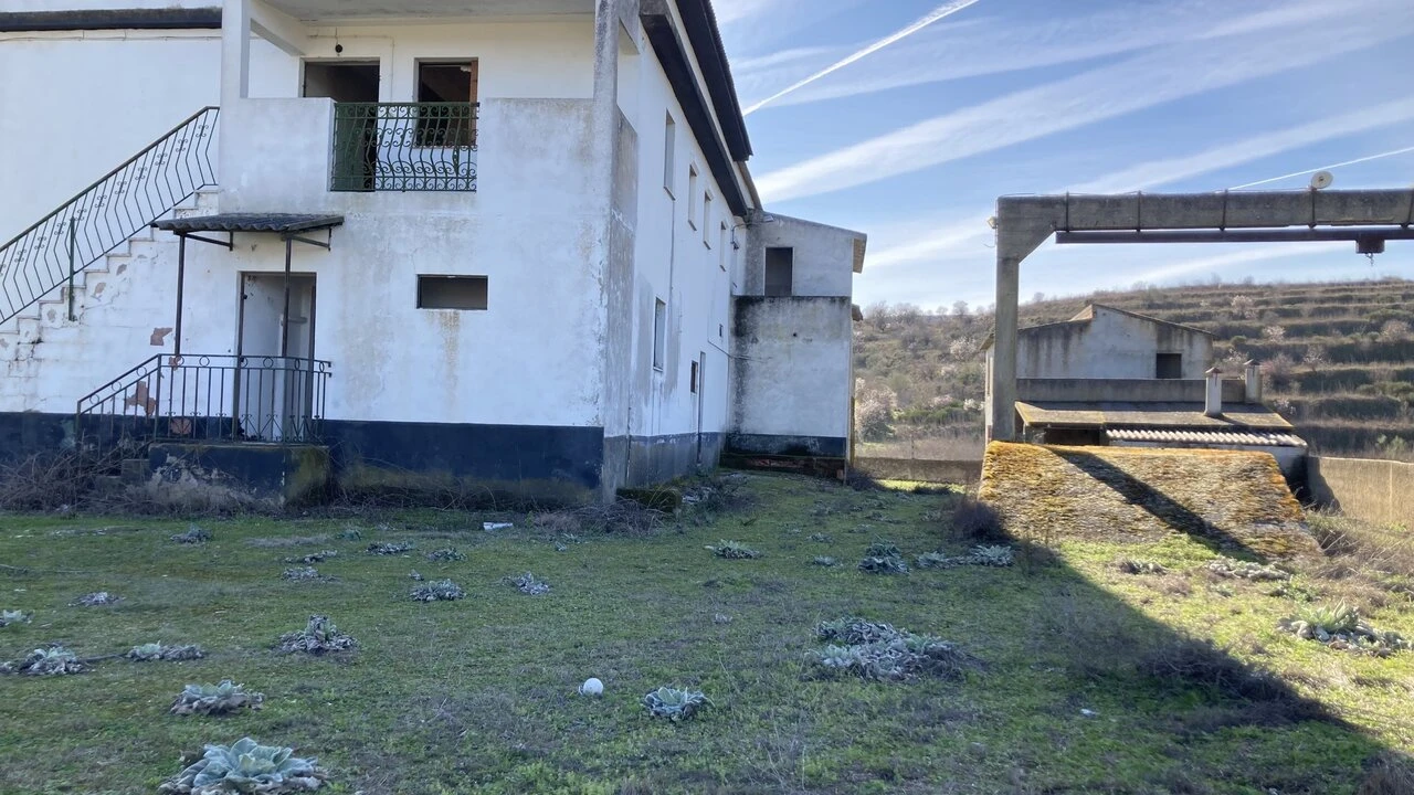 Quinta T15 para Venda em Vila Nova de Foz Côa Foto 15