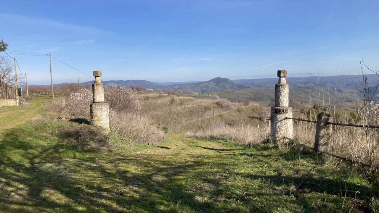 Quinta T15 para Venda em Vila Nova de Foz Côa Foto 10