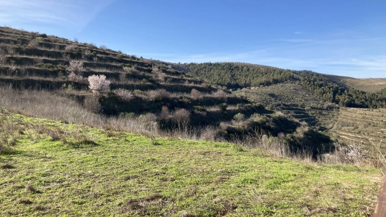 Quinta T15 para Venda em Vila Nova de Foz Côa Foto 34