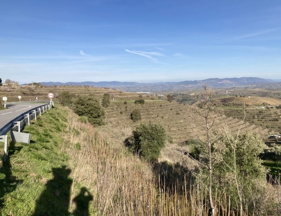 Quinta T15 para Venda em Vila Nova de Foz Côa Foto 38