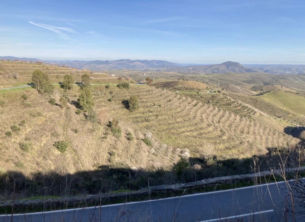 Quinta T15 para Venda em Vila Nova de Foz Côa Foto 39