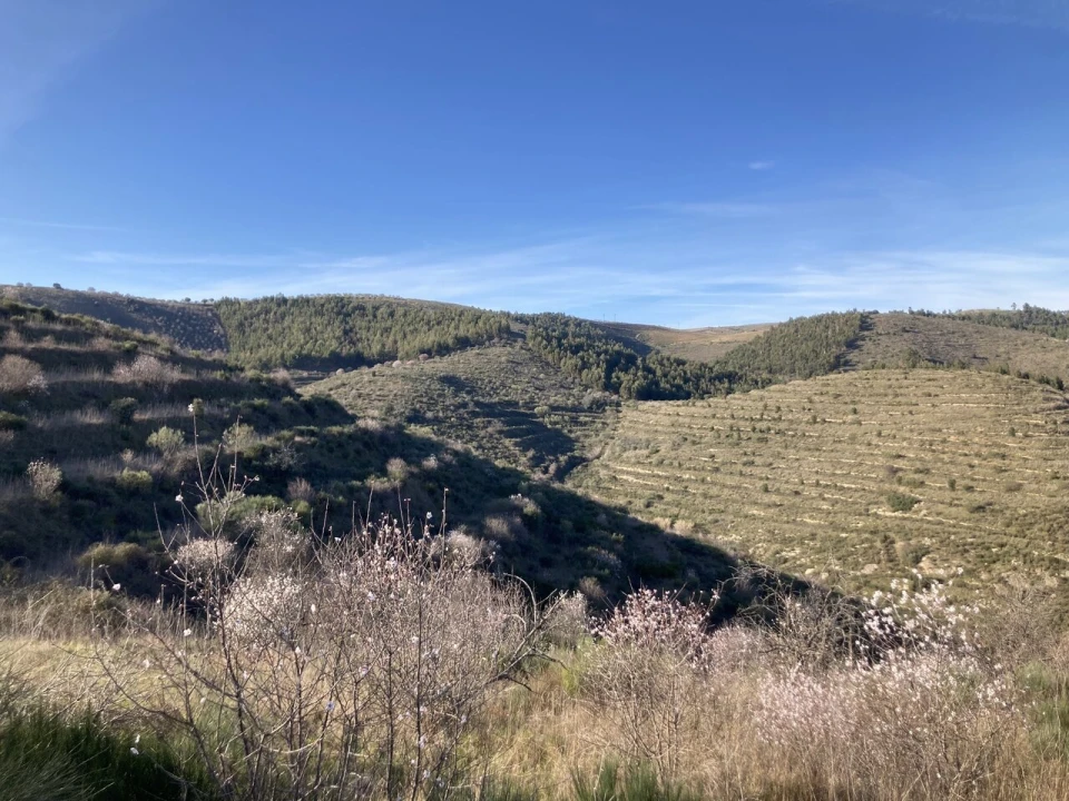 Quinta T15 para Venda em Vila Nova de Foz Côa Foto 35