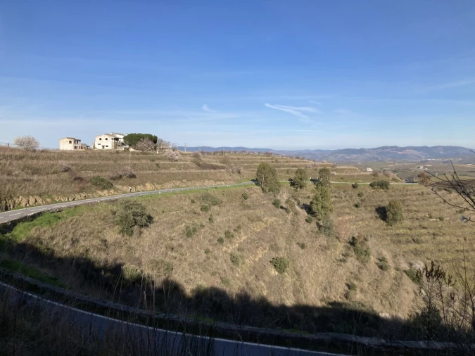 Quinta T15 para Venda em Vila Nova de Foz Côa Foto 2