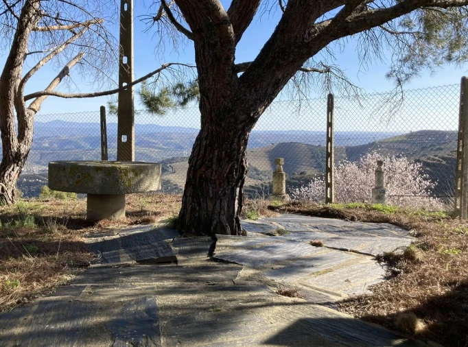 Quinta T15 para Venda em Vila Nova de Foz Côa Foto 6