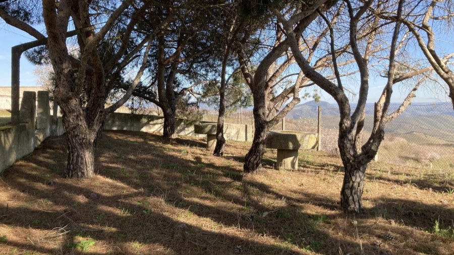 Quinta T15 para Venda em Vila Nova de Foz Côa Foto 8