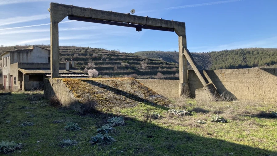 Quinta T15 para Venda em Vila Nova de Foz Côa Foto 16