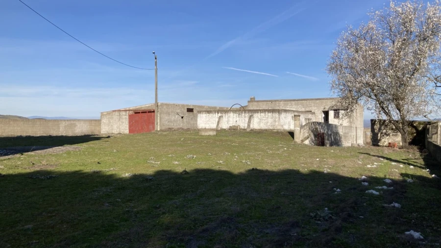 Quinta T15 para Venda em Vila Nova de Foz Côa Foto 23