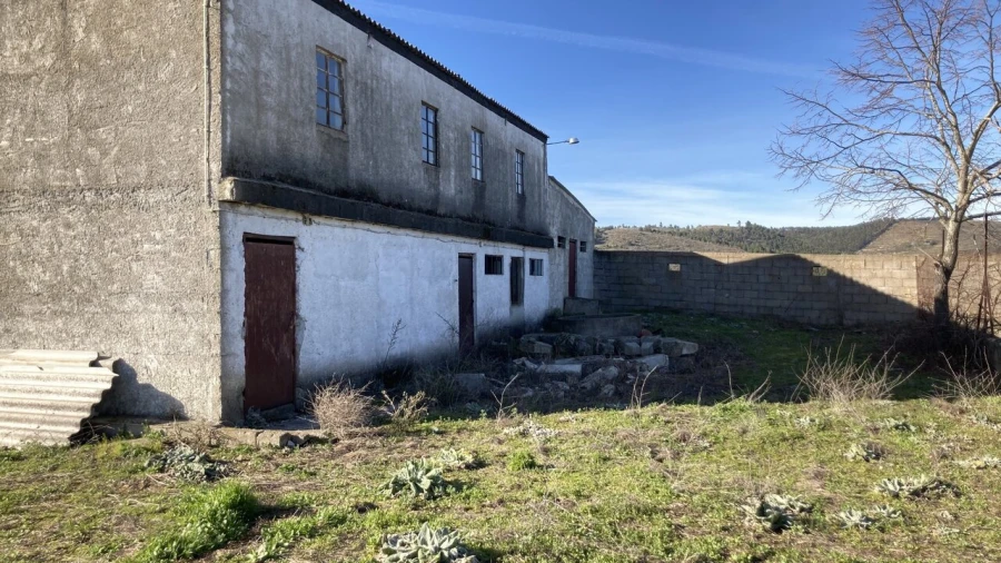 Quinta T15 para Venda em Vila Nova de Foz Côa Foto 31