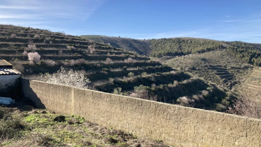 Quinta T15 para Venda em Vila Nova de Foz Côa Foto 33