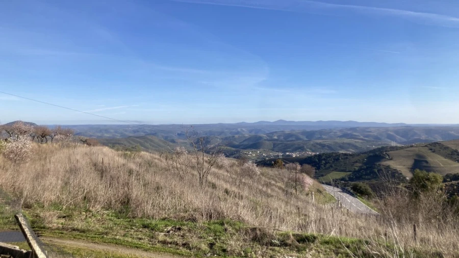 Quinta T15 para Venda em Vila Nova de Foz Côa Foto 36
