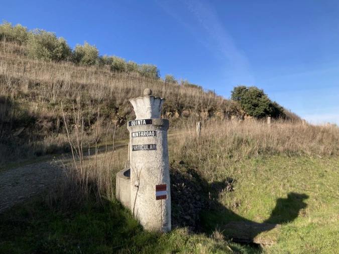 Quinta T15 para Venda em Vila Nova de Foz Côa Foto 37