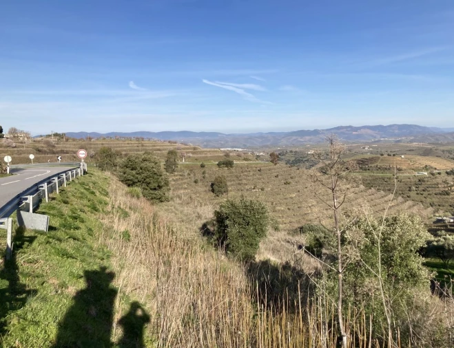 Quinta T15 para Venda em Vila Nova de Foz Côa Foto 38