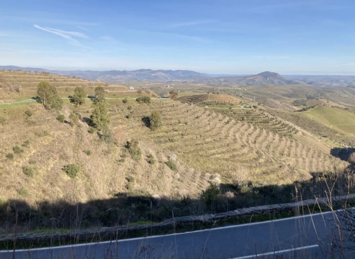 Quinta T15 para Venda em Vila Nova de Foz Côa Foto 39