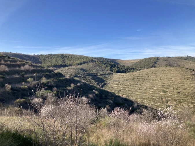 Quinta T15 para Venda em Vila Nova de Foz Côa Foto 35