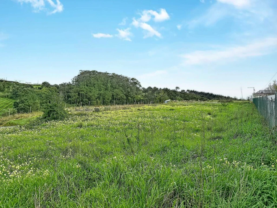 Terreno para Venda em Freiria Foto 8