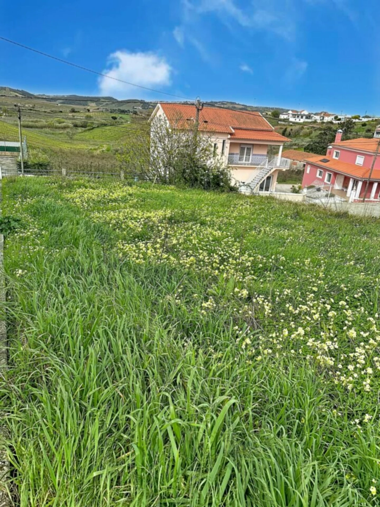 Terreno para Venda em Freiria Foto 9