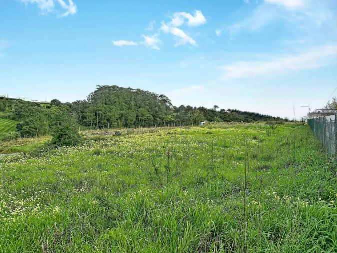 Terreno para Venda em Freiria Foto 8