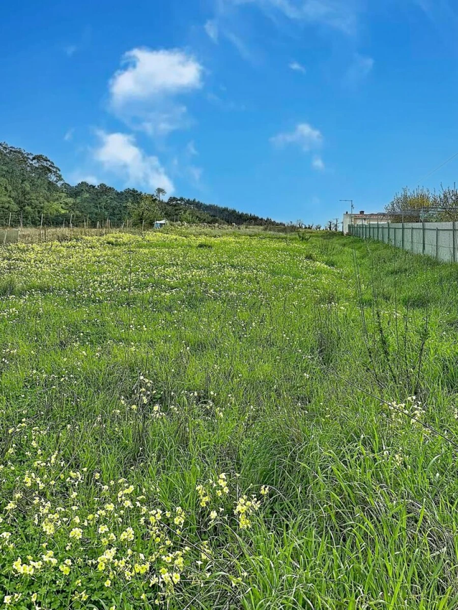 Terreno para Venda em Freiria Foto 10